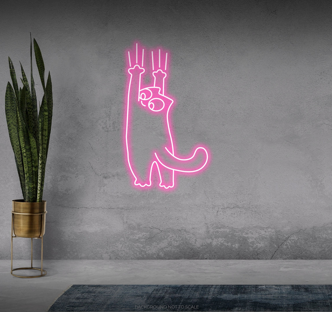 Cat scratch ledneon