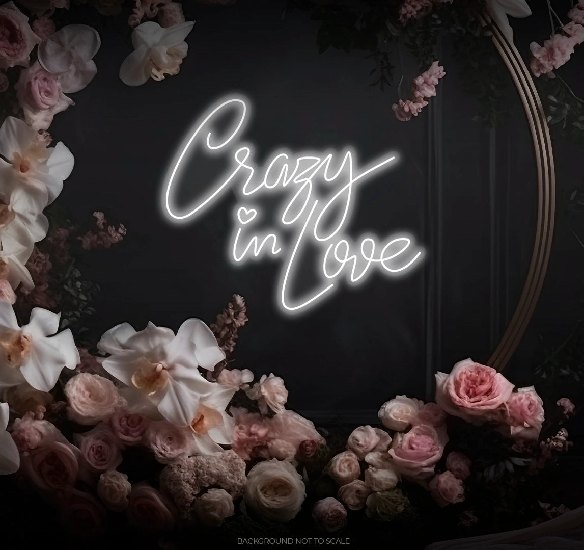 Crazy in love ledneon